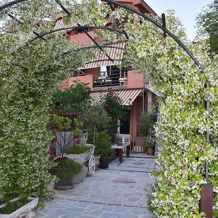 Apartments Scepanovic Tivat Dış mekan fotoğraf