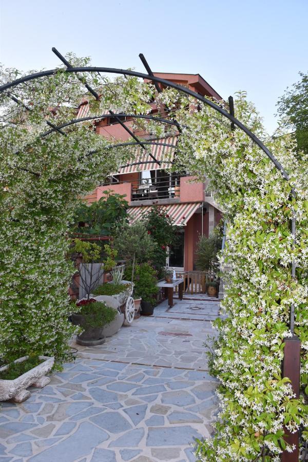 Apartments Scepanovic Tivat Dış mekan fotoğraf