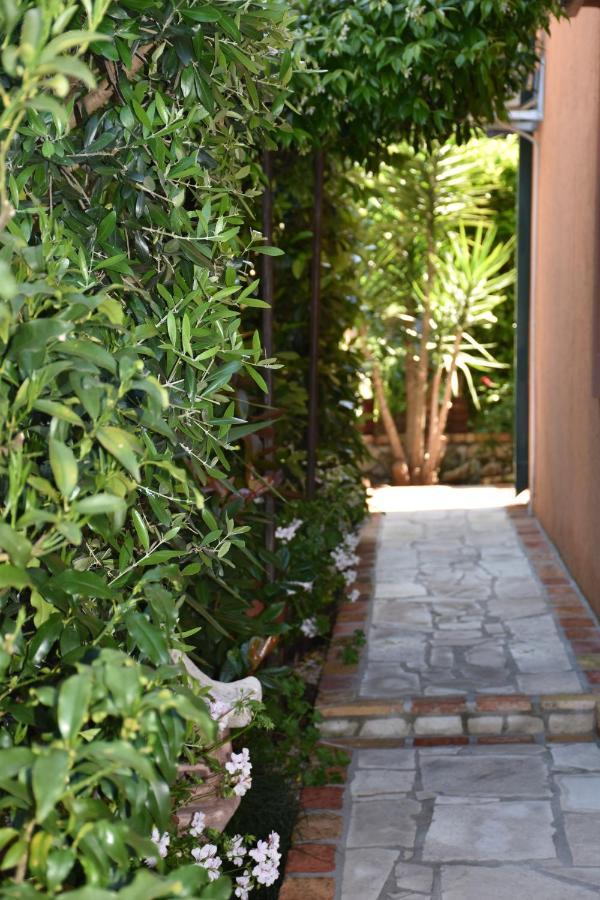 Apartments Scepanovic Tivat Dış mekan fotoğraf