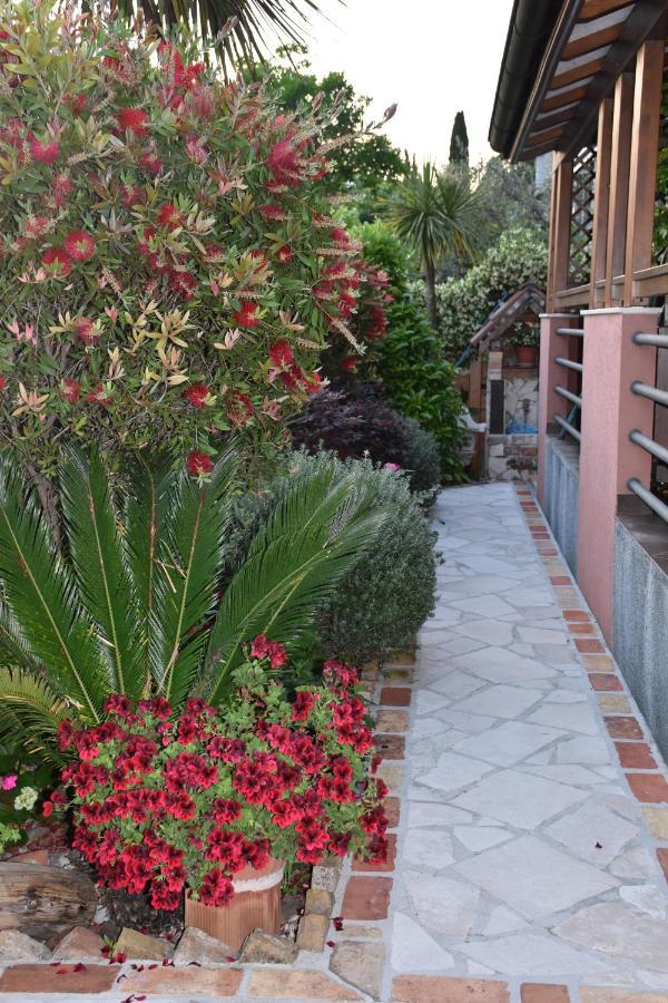 Apartments Scepanovic Tivat Dış mekan fotoğraf