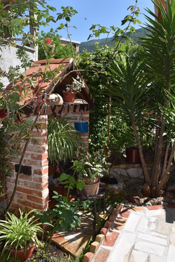 Apartments Scepanovic Tivat Dış mekan fotoğraf