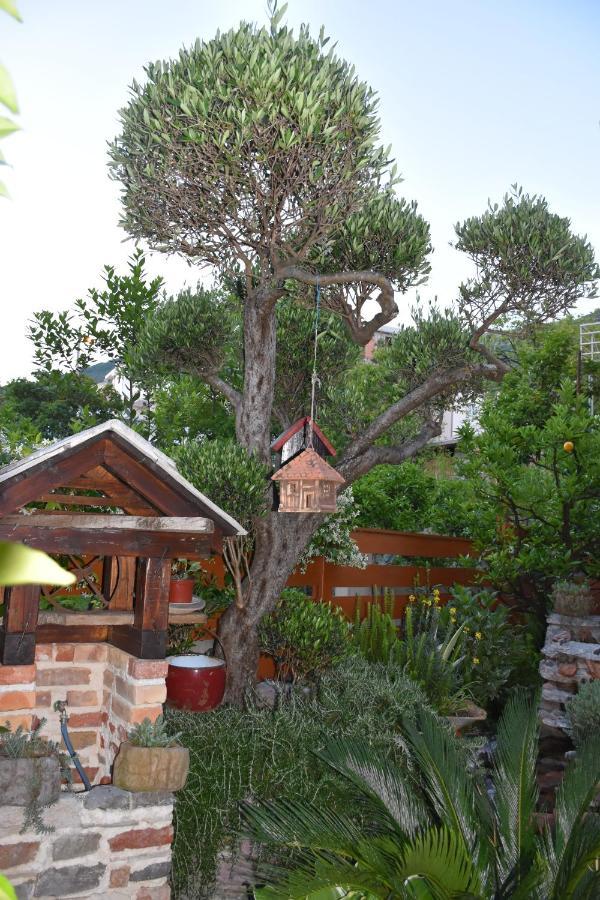 Apartments Scepanovic Tivat Dış mekan fotoğraf