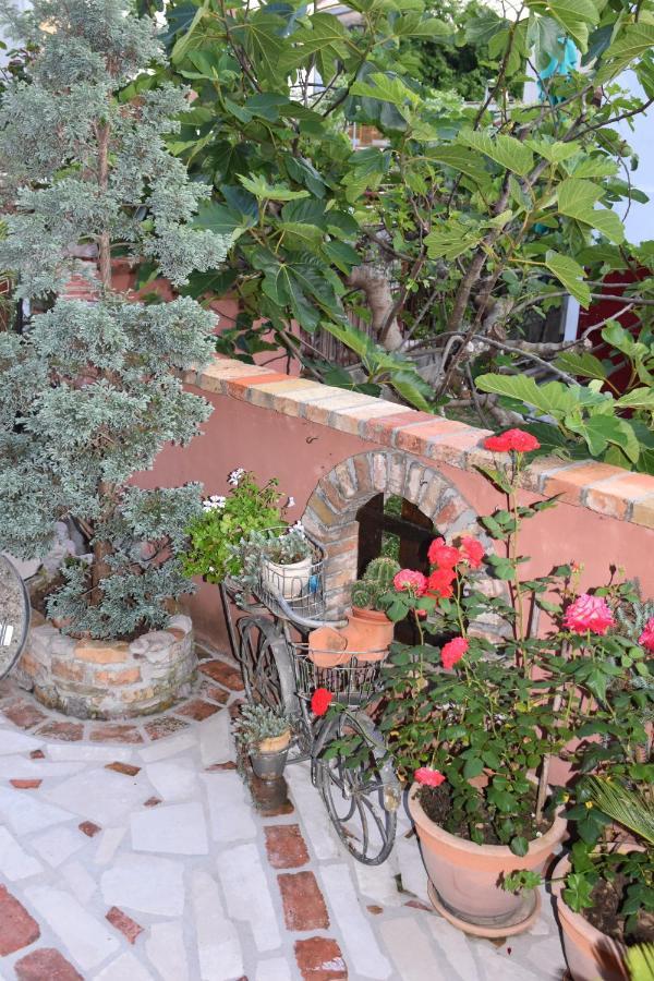 Apartments Scepanovic Tivat Dış mekan fotoğraf